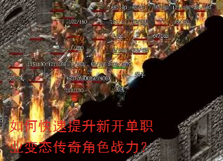 ��ο��������¿���ְҵ��̬�����ɫս����