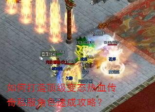 ��δ��춥����̬��Ѫ����˽����ɫ�ٳɹ��ԣ�