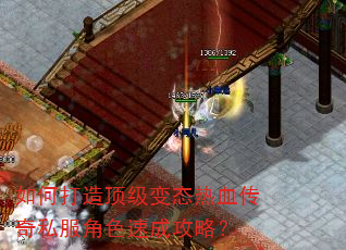 ��δ��춥����̬��Ѫ����˽����ɫ�ٳɹ��ԣ�