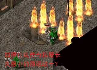 ��δ��촫��˽�����÷��еĶ���սʿ��