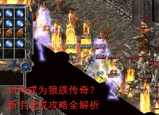 ��γ�Ϊ���崫�棿�����ٳɹ���ȫ����