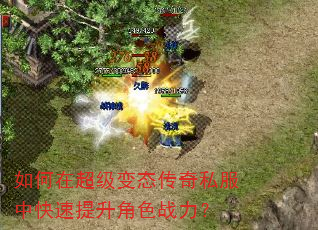 ����ڳ�����̬����˽���п���������ɫս����