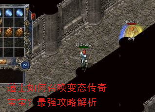 ��ʿ����ٻ���̬���汦������ǿ���Խ���