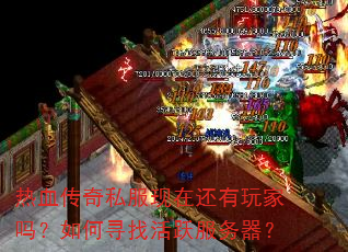 ��Ѫ����˽�����ڻ�����������Ѱ�һ�Ծ��������