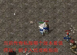 ��ǰ����˽���ĸ��汾��ֵ���棿������ӹ���ָ��