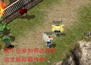 ��ţ������ѡ��ְҵ���ܳưԴ��棿