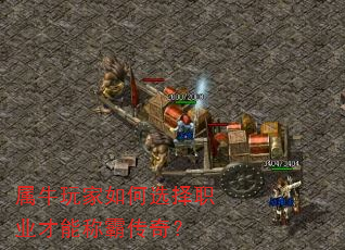 ��ţ������ѡ��ְҵ���ܳưԴ��棿