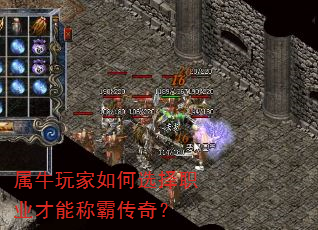 ��ţ������ѡ��ְҵ���ܳưԴ��棿