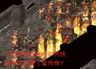 �����·���������ο��������ư����ߴ��棿