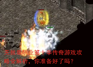 ���ⵥְҵ��ʮ��������Ϸ����ȫ��������׼��������