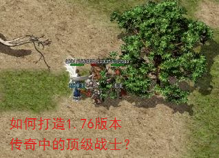 ��δ���1.76�汾�����еĶ���սʿ��