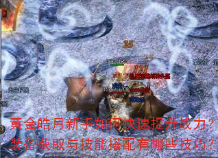 �ƽ����������ο�������ս����װ����ȡ�뼼�ܴ�������Щ���ɣ�