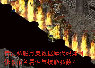 ����˽���������ݿ��������޸Ľ�ɫ�����뼼�ܲ�����